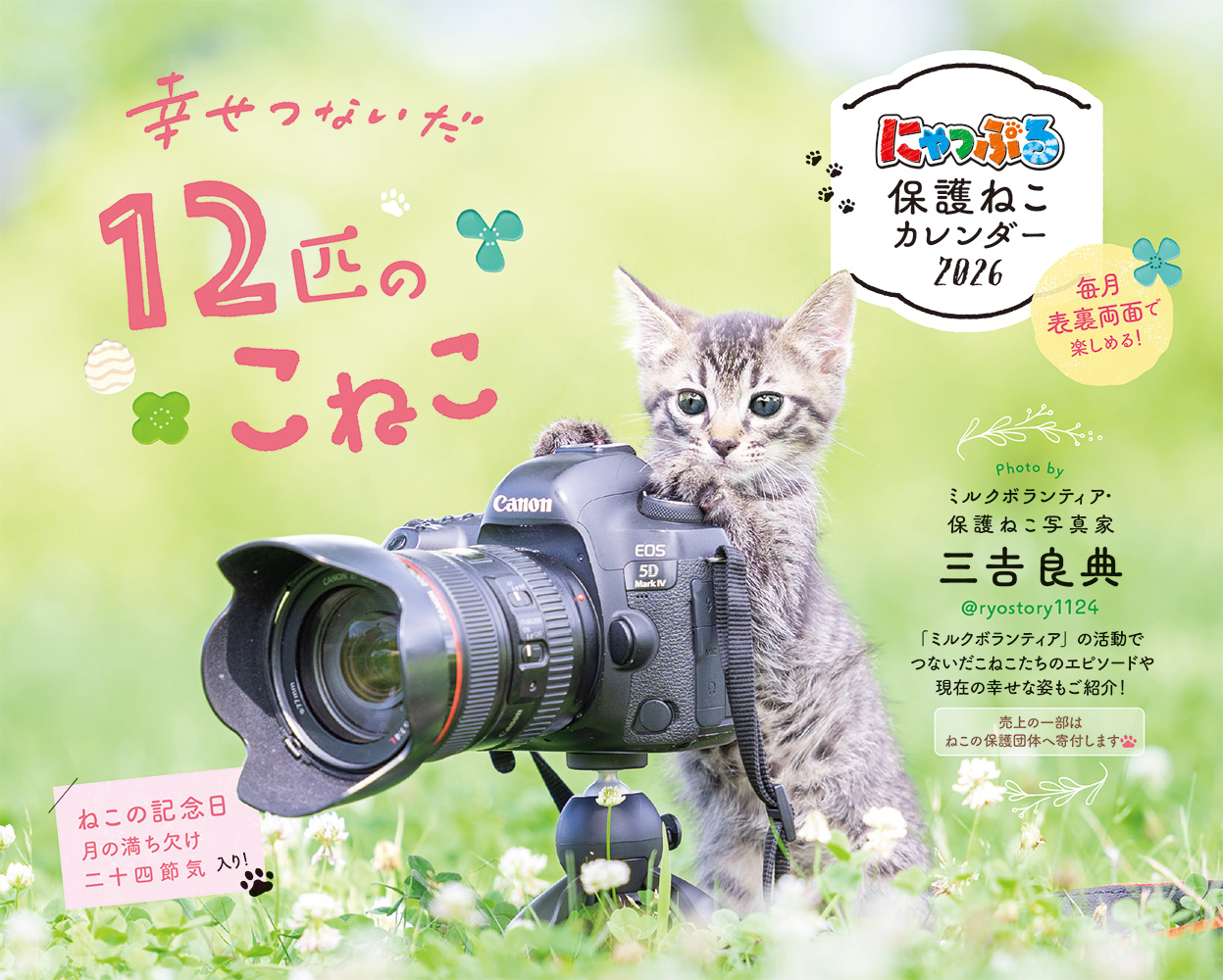にゃっぷる保護ねこカレンダー卓上版 2026 [カレンダー]