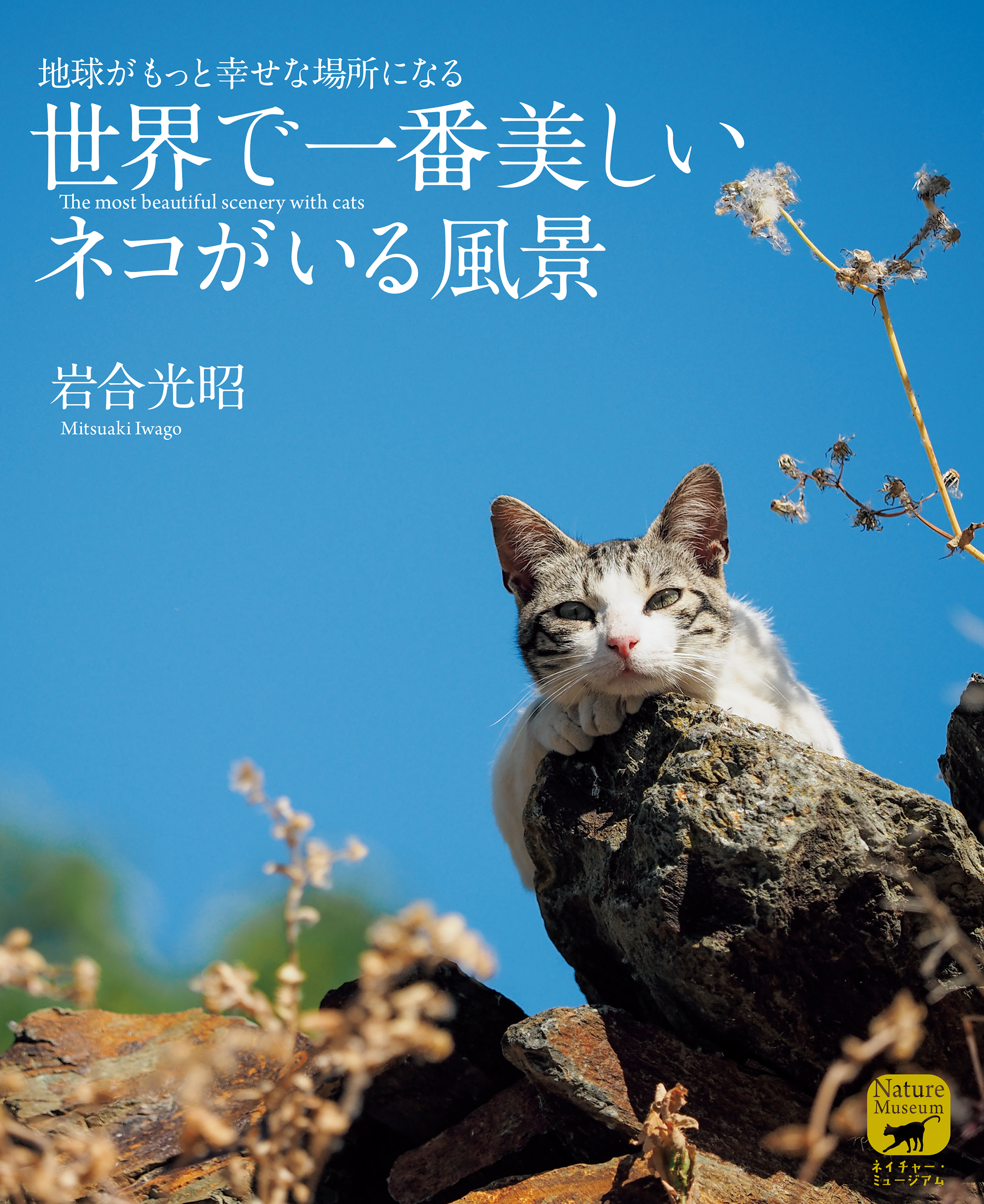 世界で一番美しいネコがいる風景: 地球がもっと幸せな場所になる