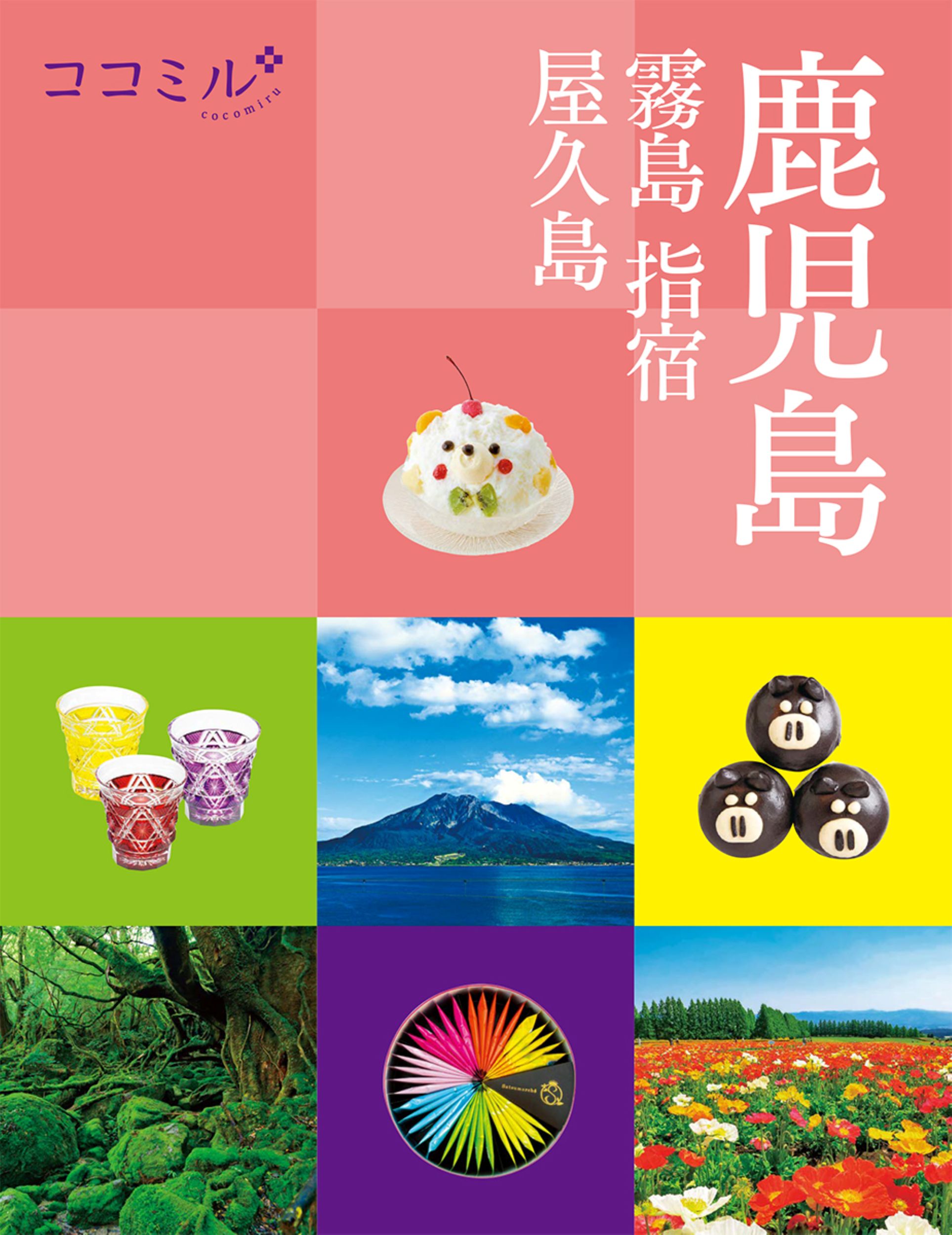 鹿児島 ココミル 九州 3