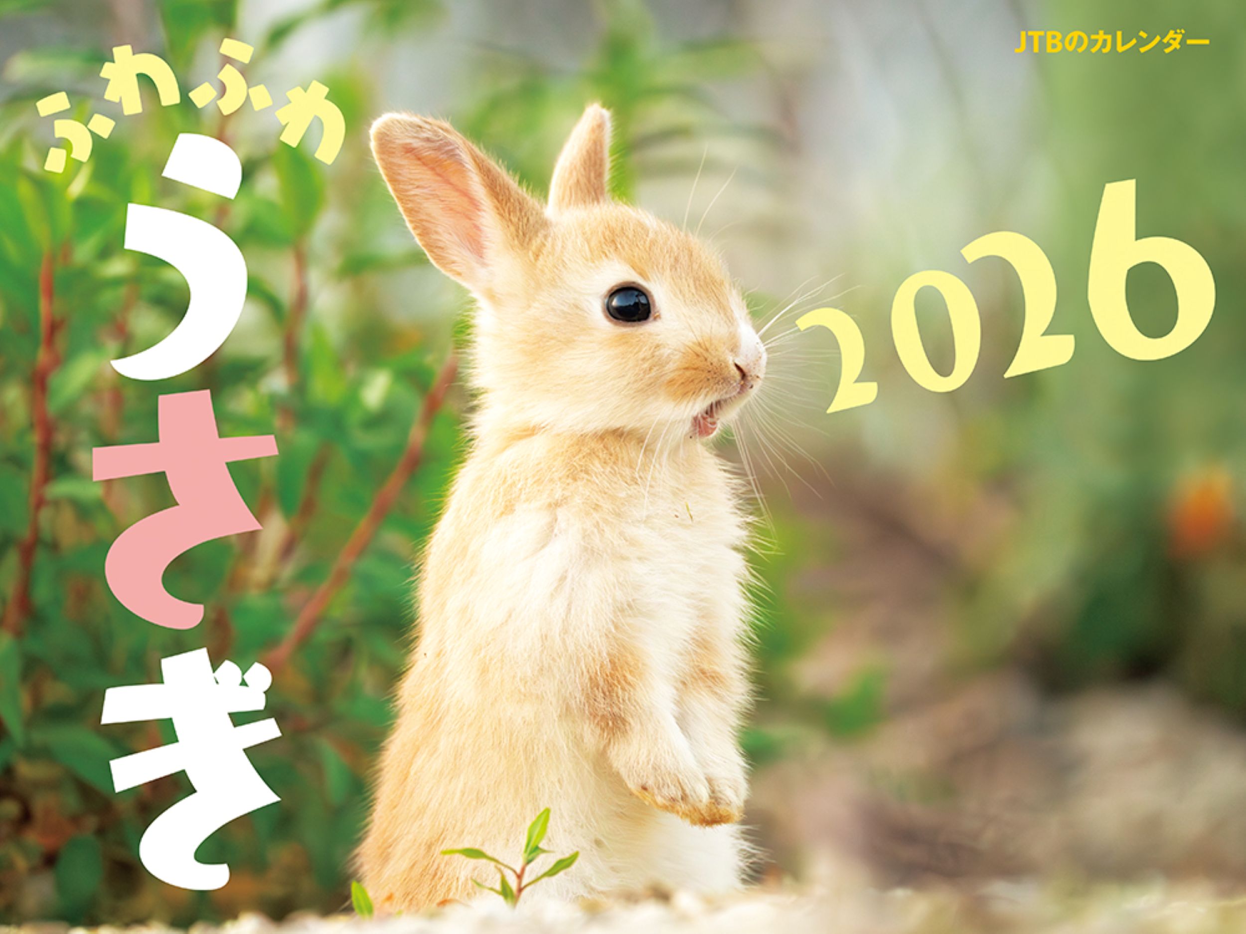 JTBのカレンダーふわふわうさぎ 2026 [カレンダー]