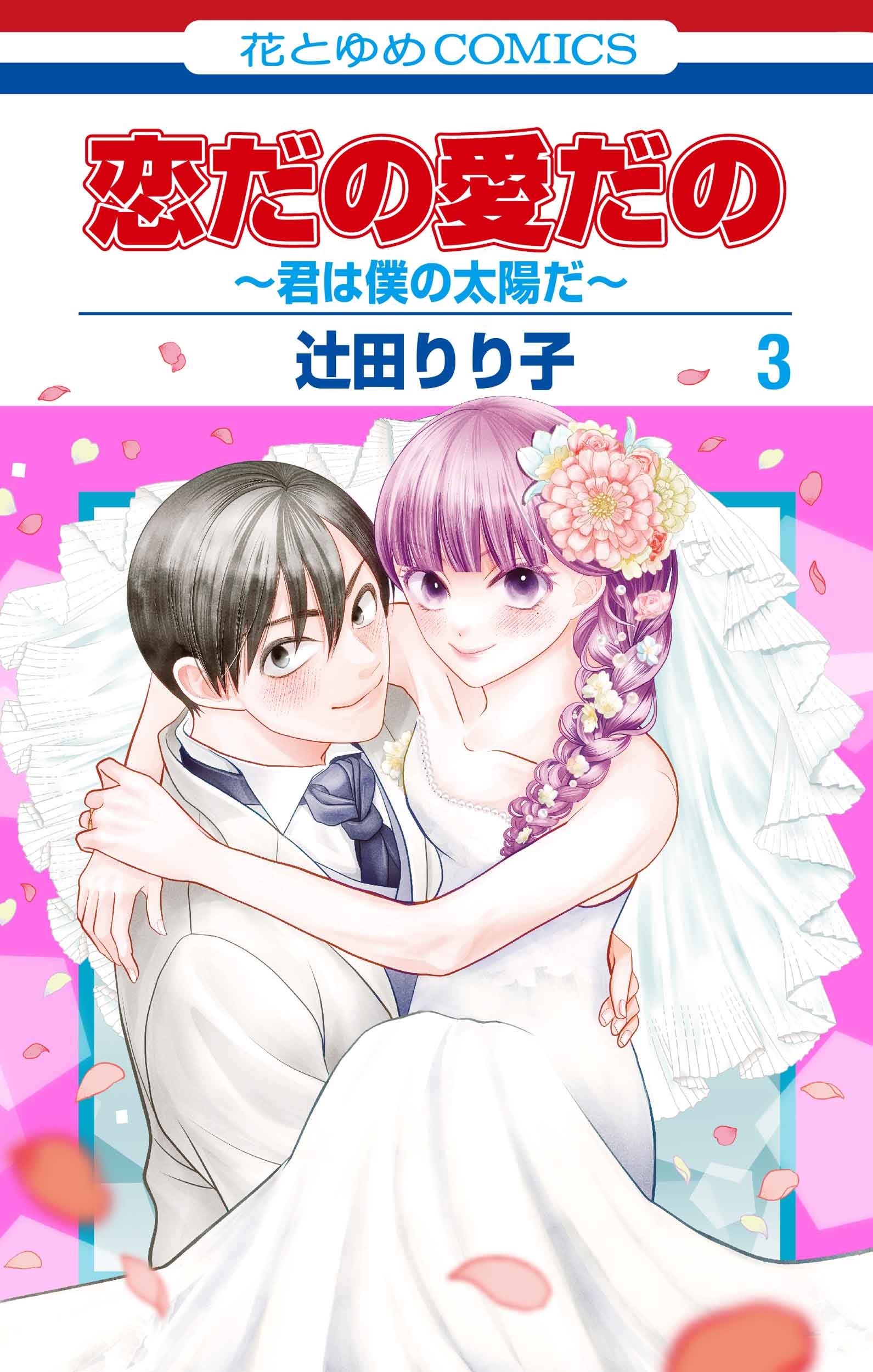 恋だの愛だの~君は僕の太陽だ~ 3 花とゆめコミックス