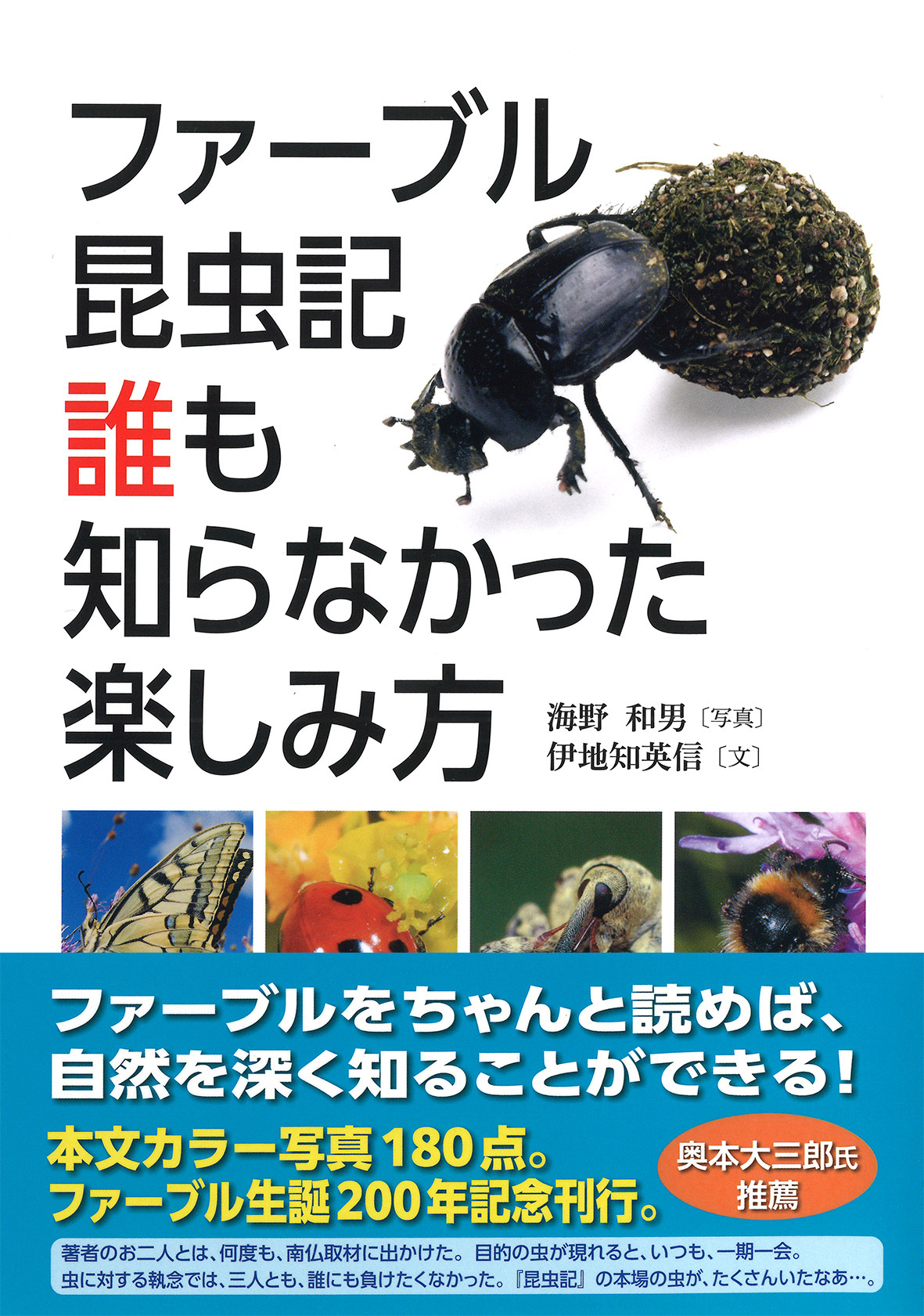 ファーブル昆虫記 誰も知らなかった楽しみ方