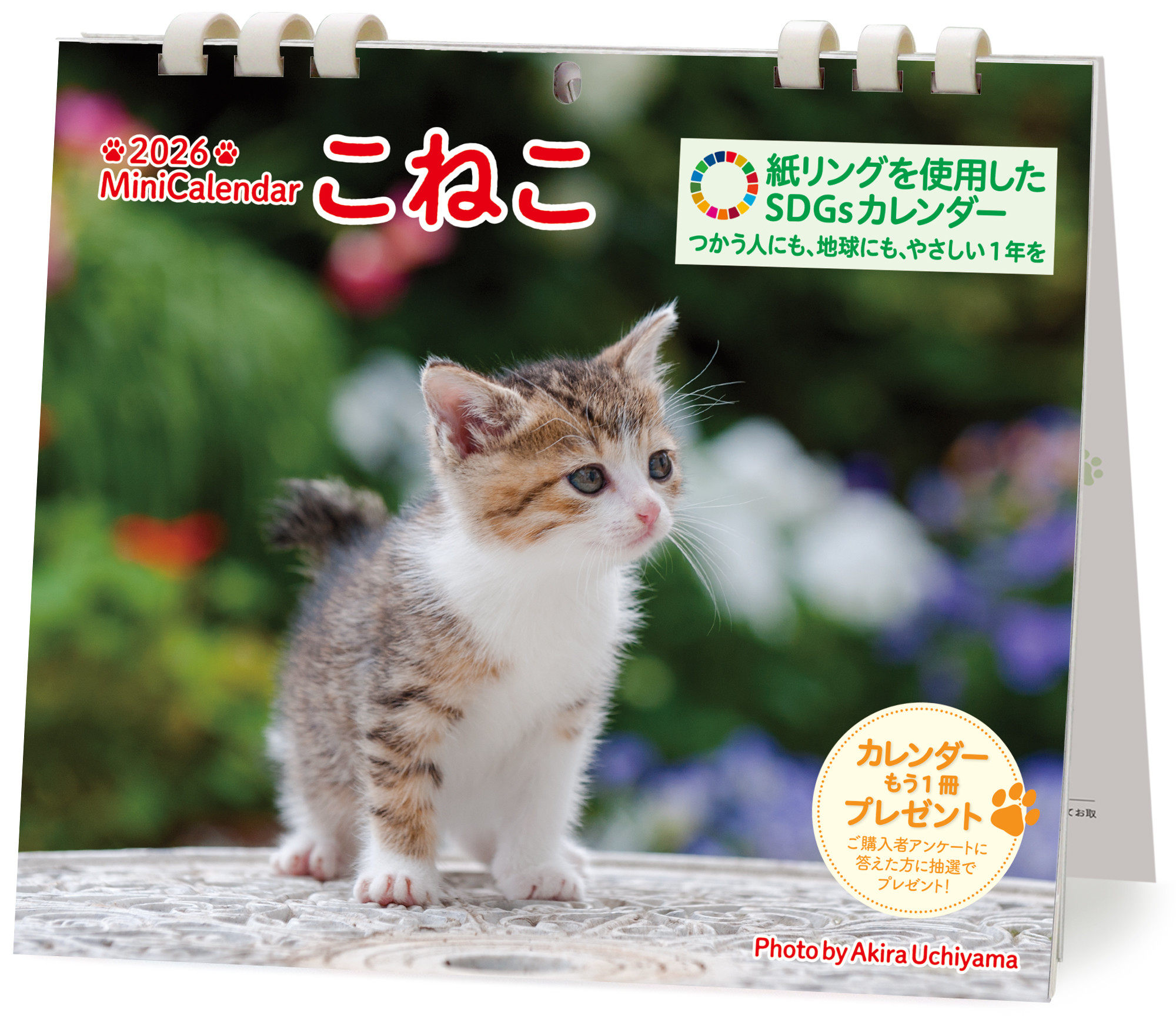 ミニカレンダーこねこ 2026 [カレンダー]
