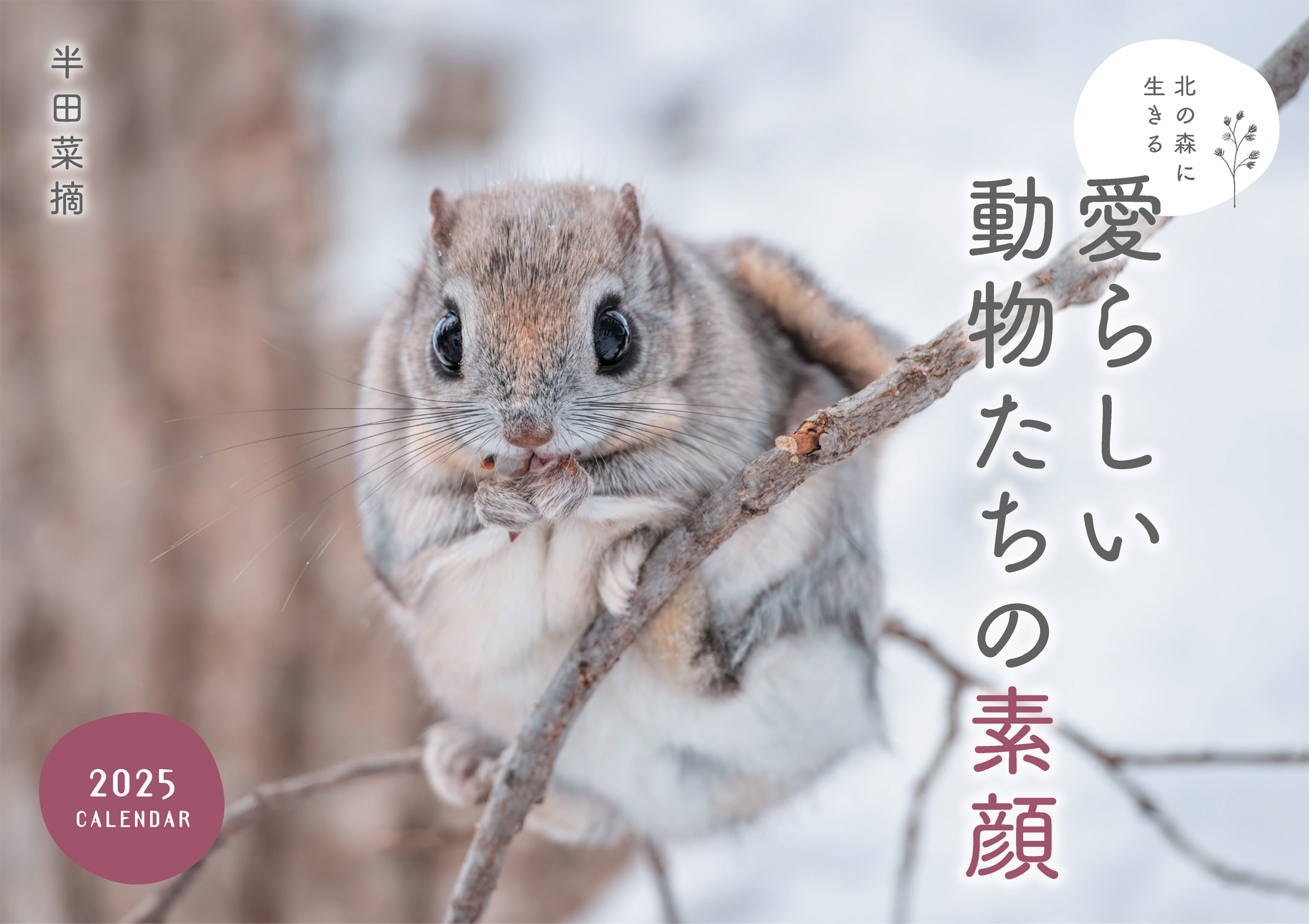 北の森に生きる愛らしい動物たちの素顔カレンダー 2025