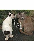 ハ-トのしっぽ