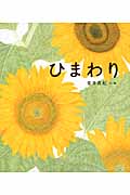 ひまわり