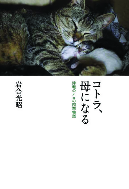 コトラ、母になる: 津軽のネコの四季物語