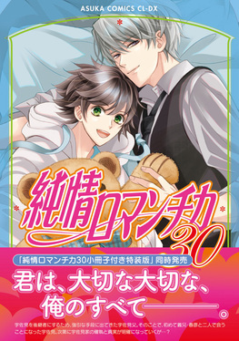 純情ロマンチカ 第30巻 あすかコミックスCL-DX