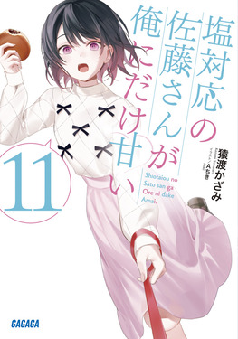 塩対応の佐藤さんが俺にだけ甘い 11 ガガガ文庫 ガさ13-14(文庫)