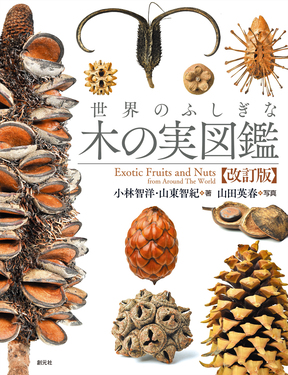 世界のふしぎな木の実図鑑(改訂版)