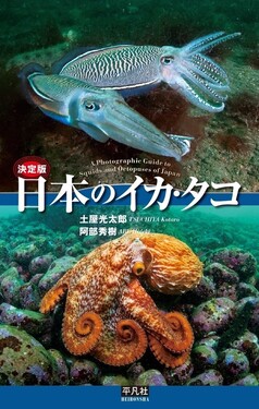 決定版 日本のイカ・タコ | 誠品線上