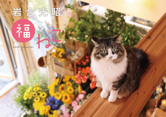 岩合光昭 福ねこカレンダー 2026年 [カレンダー]