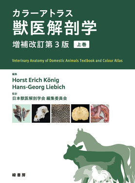 値下げ中 カラーアトラス 獣医解剖学 上下巻 セット 増補改訂版 カラーアトラス 獣医解剖学 上下巻セット カラ―アトラス獣医解剖学