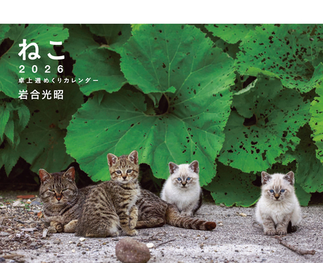 岩合光昭 ねこ 卓上週めくりカレンダー 2026 [カレンダー]