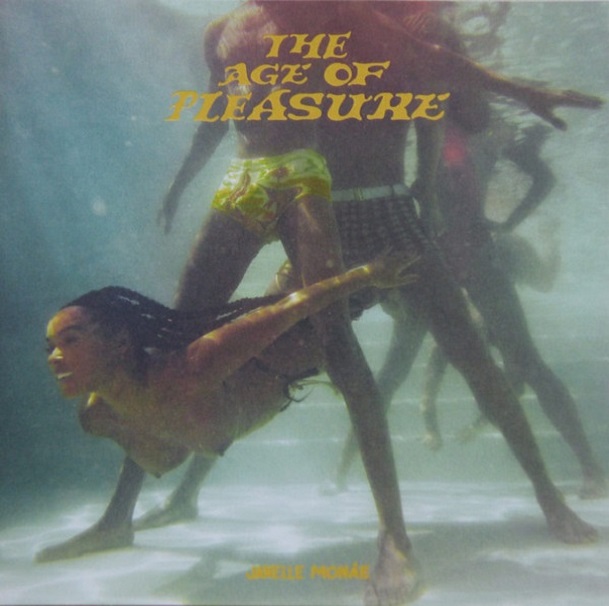 The Age Of Pleasure (CD)