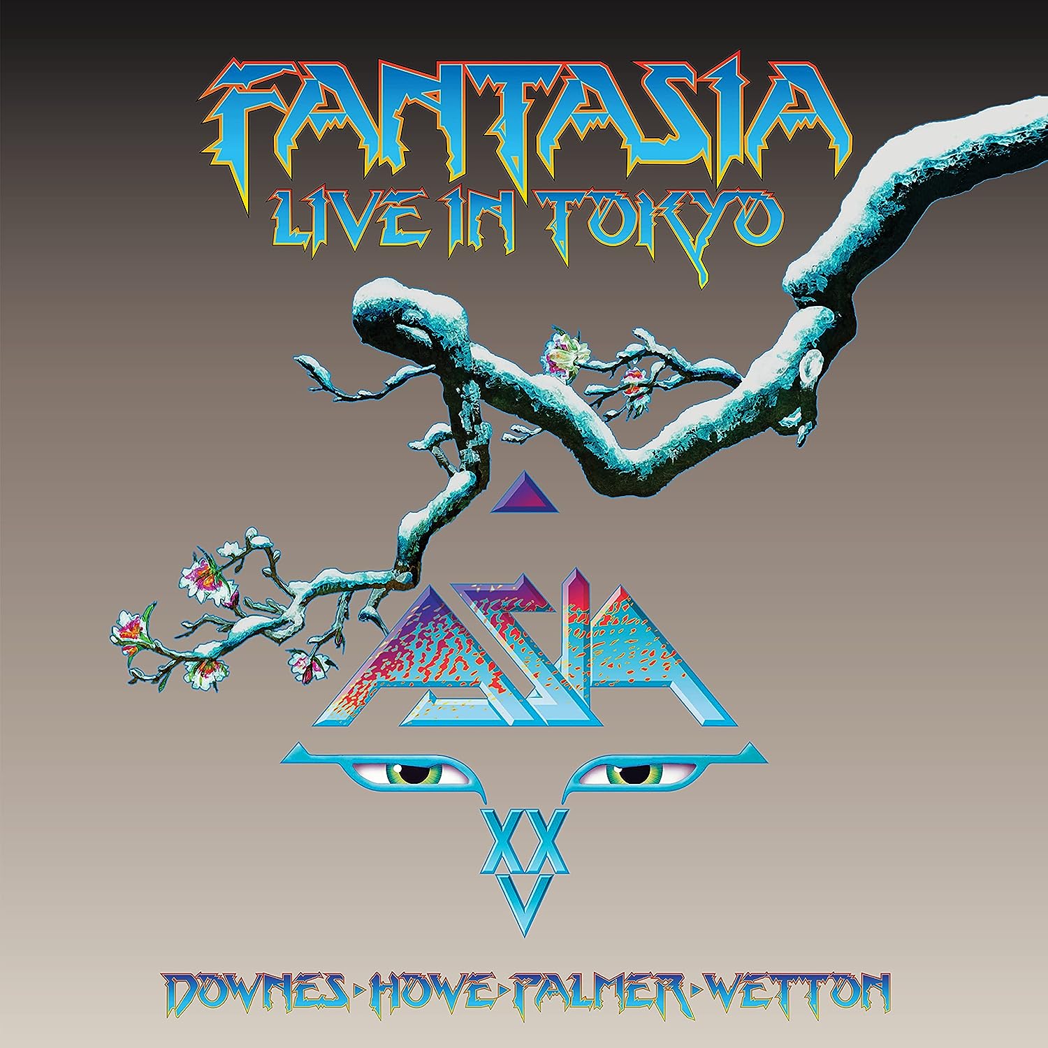 Fantasia, Live in Tokyo 2007 (3LP/Black Vinyl)