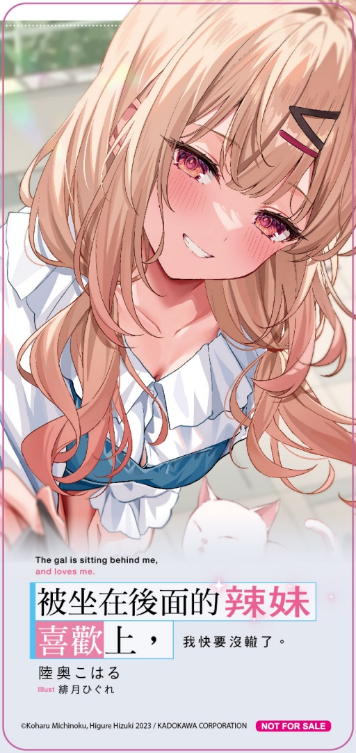 贈品說明圖