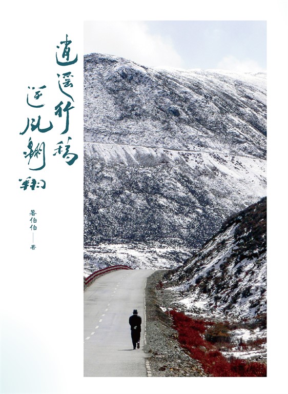 逍遙行稿——逆風翱翔 (電子書)