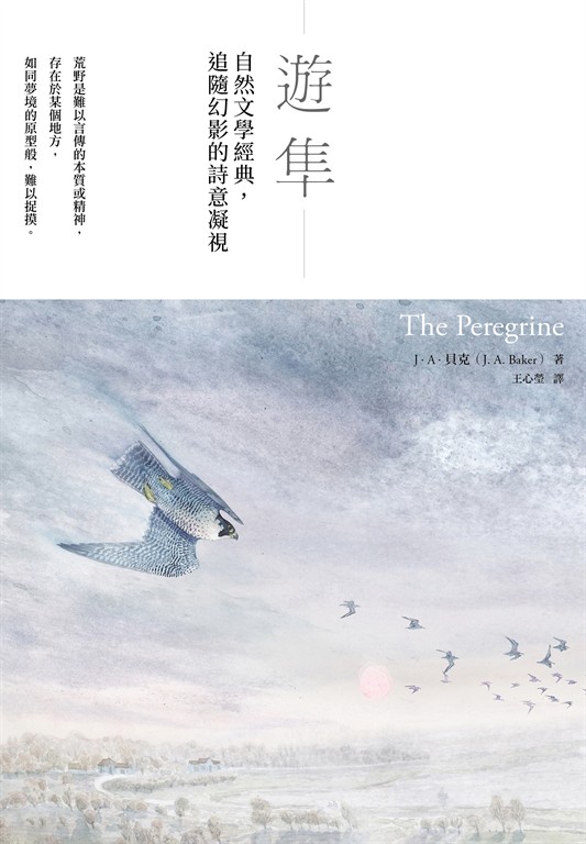 遊隼 (電子書)