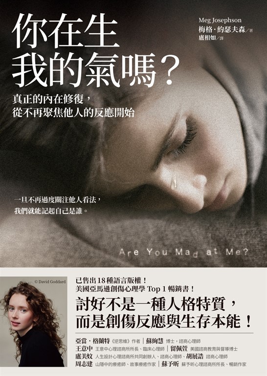你在生我的氣嗎？：真正的內在修復，從不再聚焦他人的反應開始 (電子書)