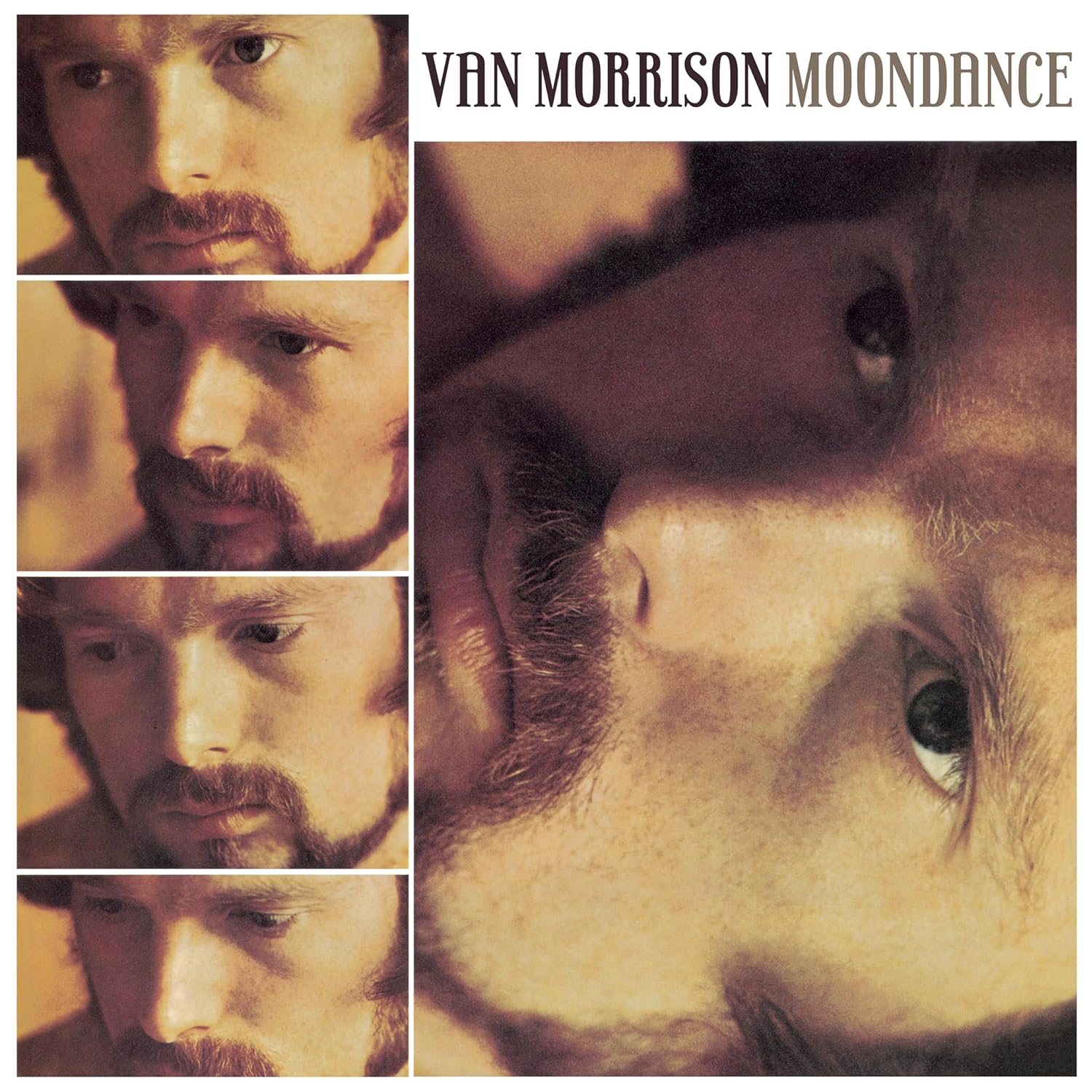 Moondance (Blu-Ray Disc Audio)