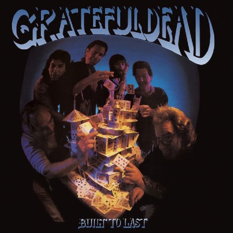 Built To Last (Black Vinyl)