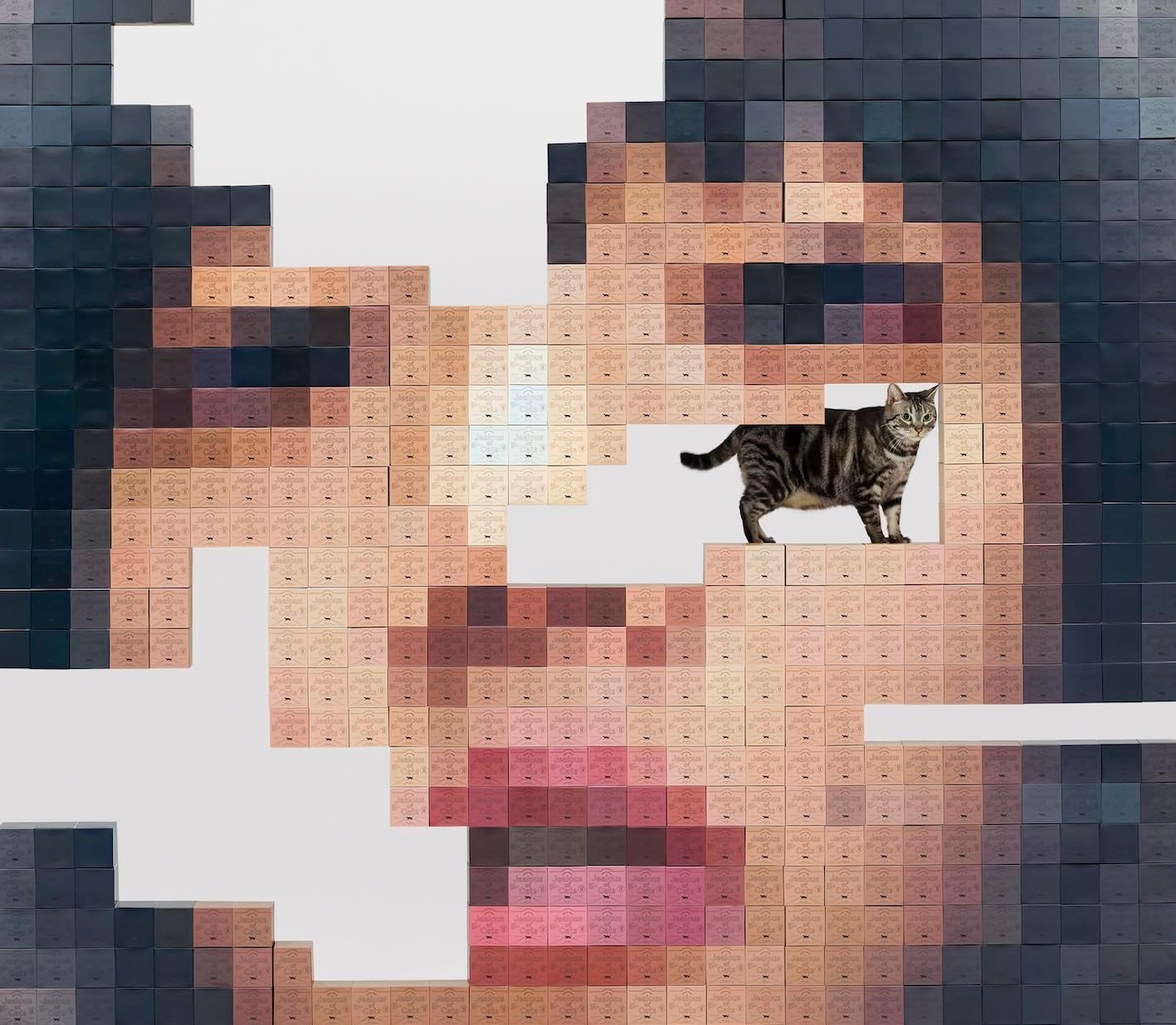 猫にジェラシー (CD+2BD+Tour Photo Booklet/初回限定Blu-ray盤)