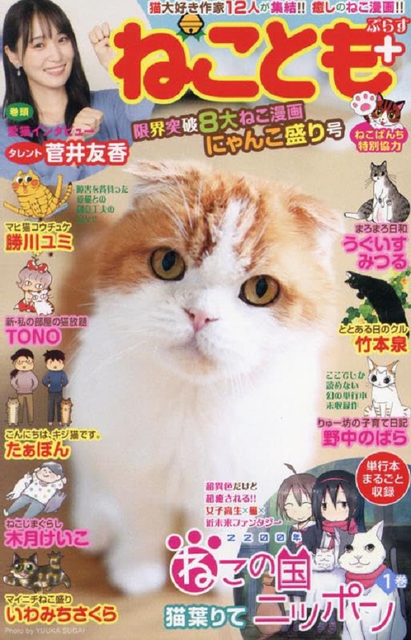 ねことも+限界突破8大ねこ漫画にゃんこ盛り号