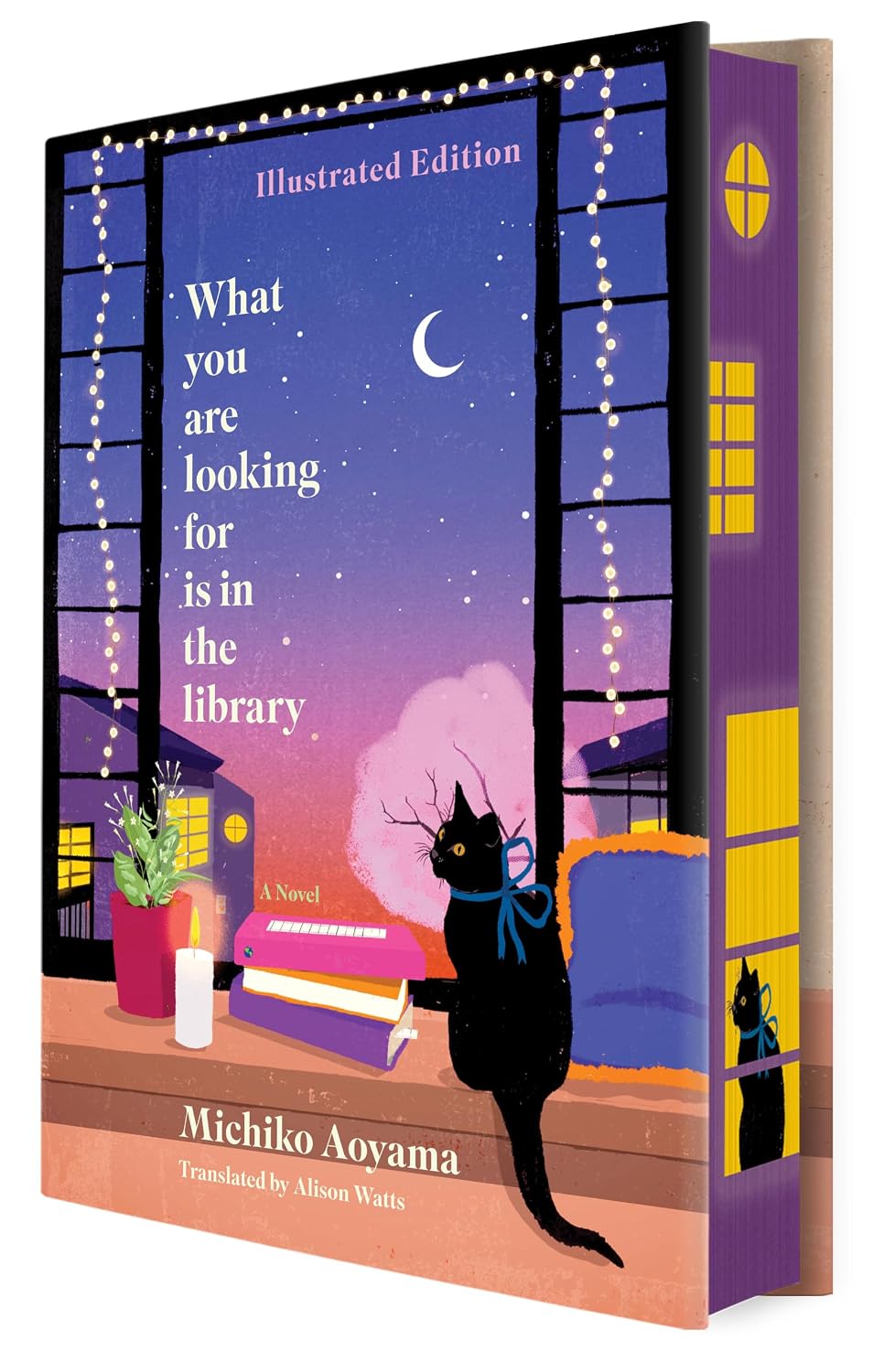 What You Are Looking For Is in the Library (Illustrated Ed.)