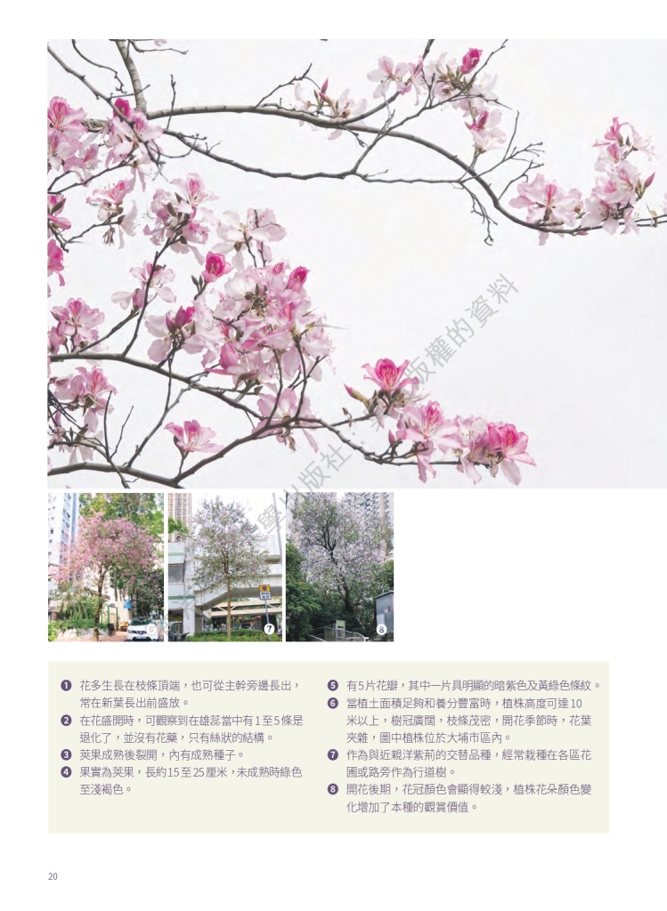 營養標示
