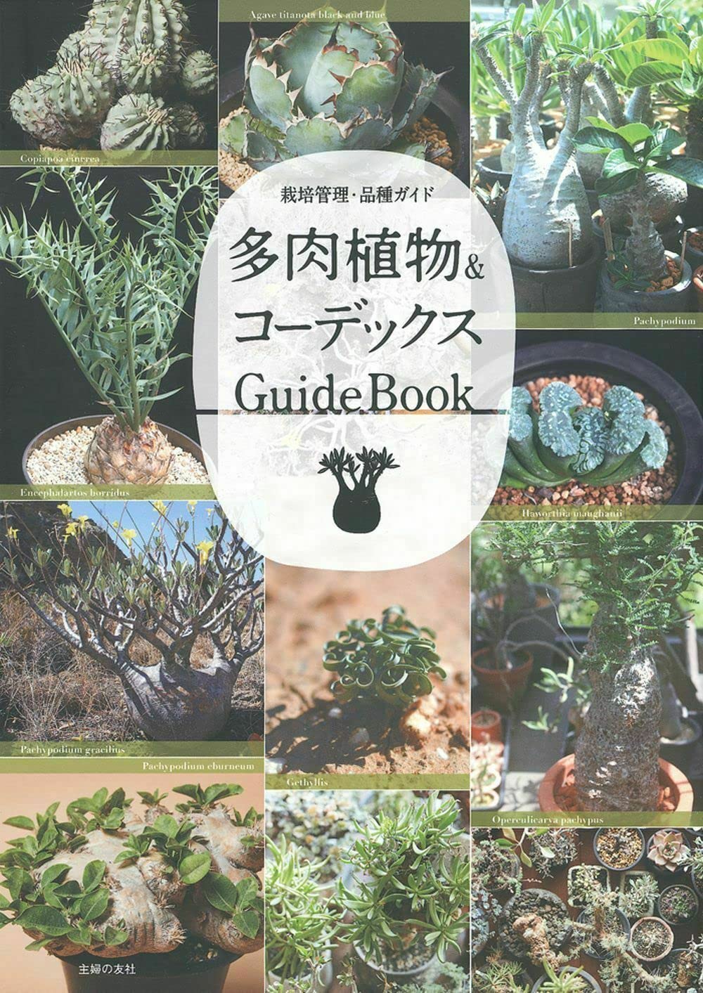 多肉植物&コーデックスGuideBook