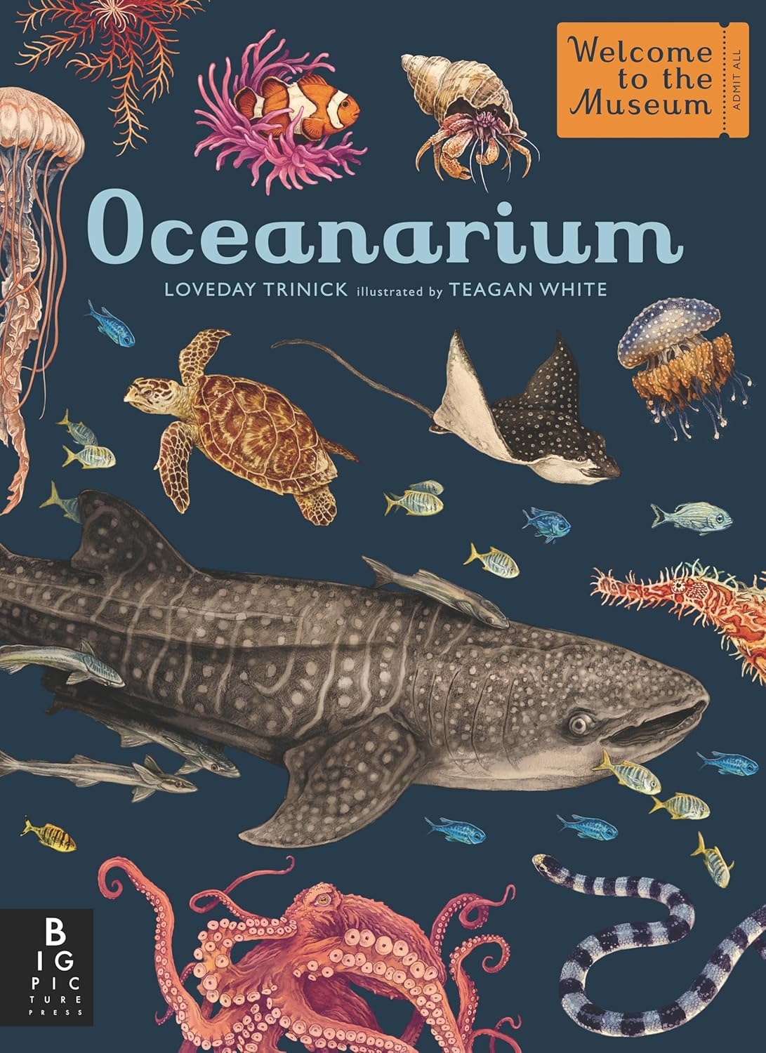 Welcome to the Museum: Oceanarium