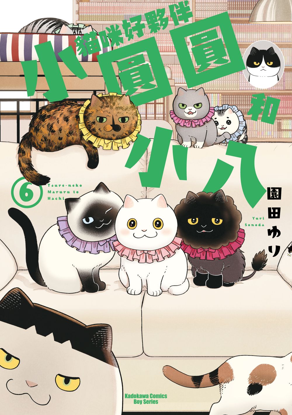 貓咪好夥伴小圓圓和小八 6