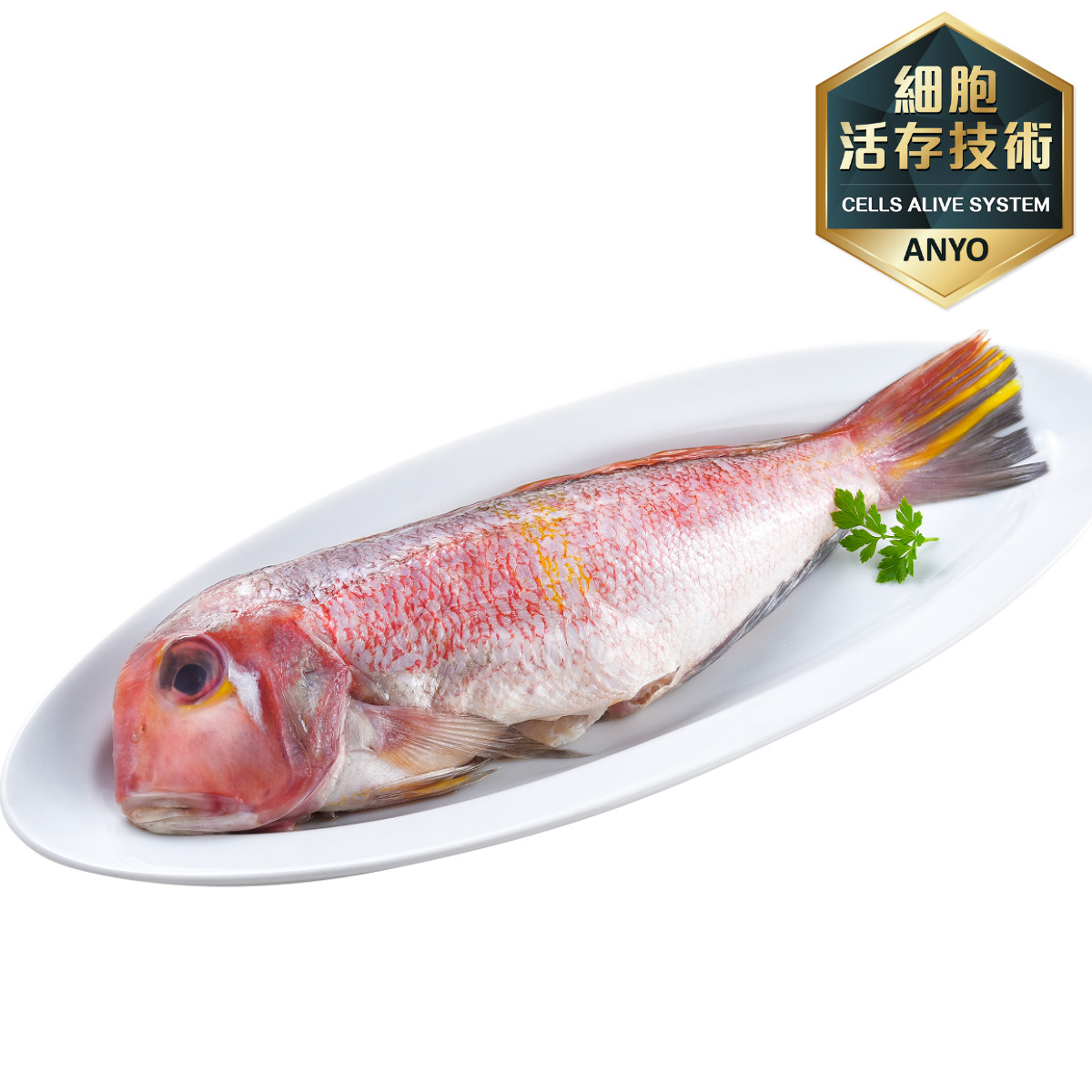 【安永鮮物】安永鮮凍 台灣野生紅馬頭魚 200g 包 誠品線上