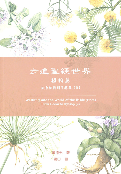 步進聖經世界 植物篇: 從香柏樹到牛膝草 2