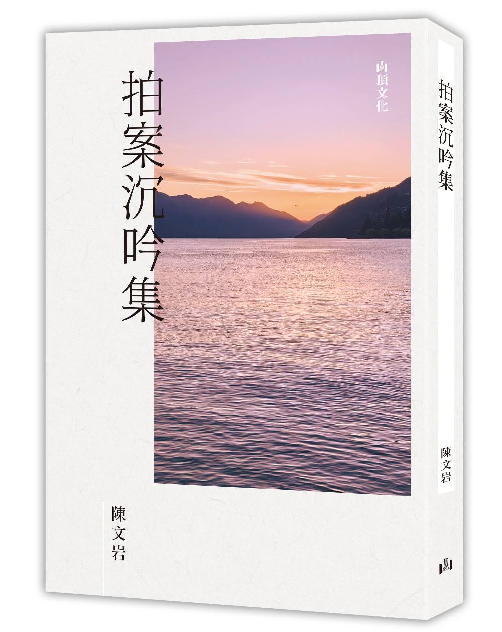 拍案沉吟集