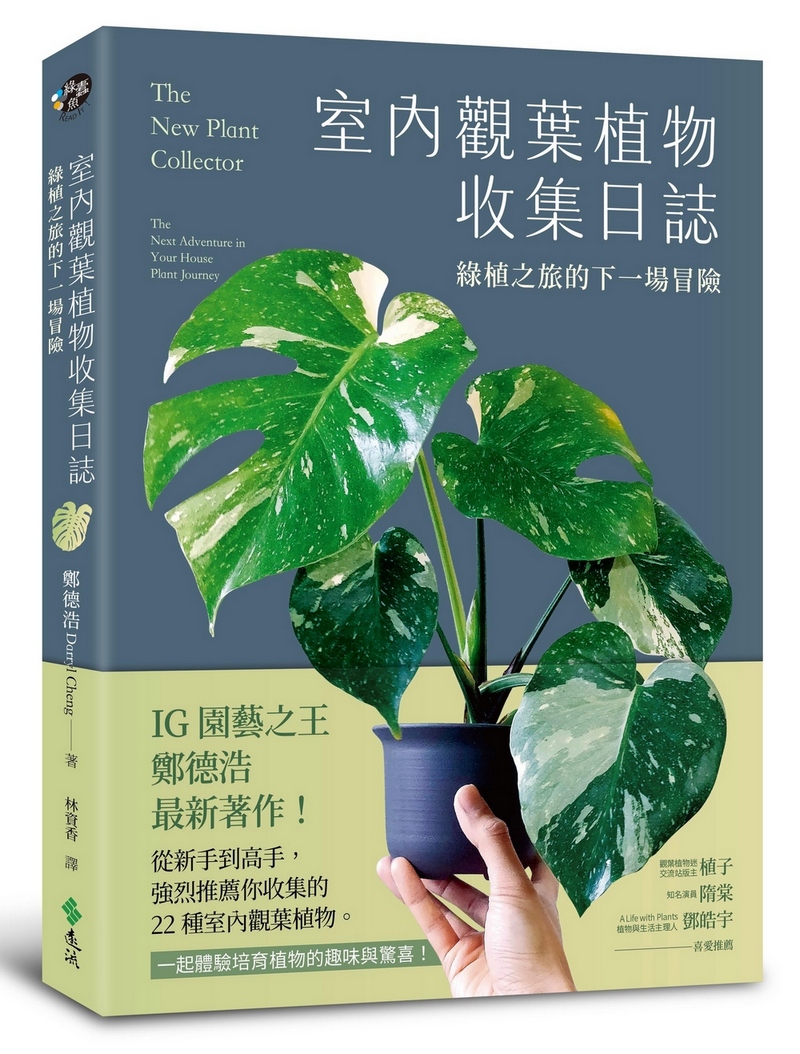 室內觀葉植物收集日誌: 綠植之旅的下一場冒險