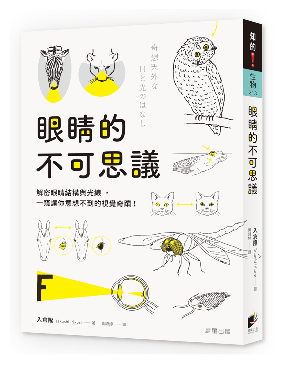 眼睛的不可思議: 解密眼睛結構與光線, 一窺讓你意想不到的視覺奇蹟!