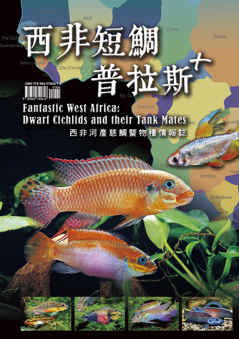 西非短鯛普拉斯+西非河產慈鯛暨物種情報誌