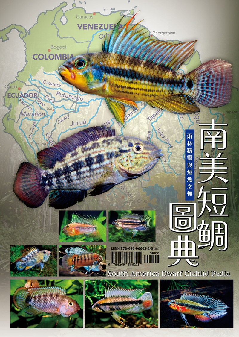 南美短鯛圖典: 雨林精靈與燈魚之舞 張永昌