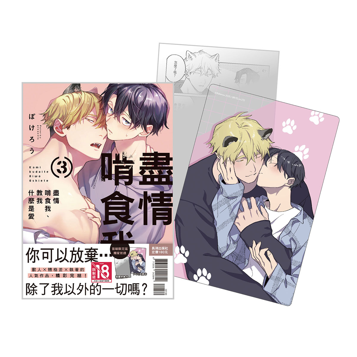 盡情啃食我、教我什麼是愛 3 (完/首刷限定版)