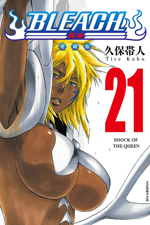 BLEACH死神 愛藏版 21