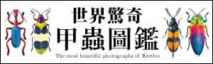 兒童|美藝學苑社.童書