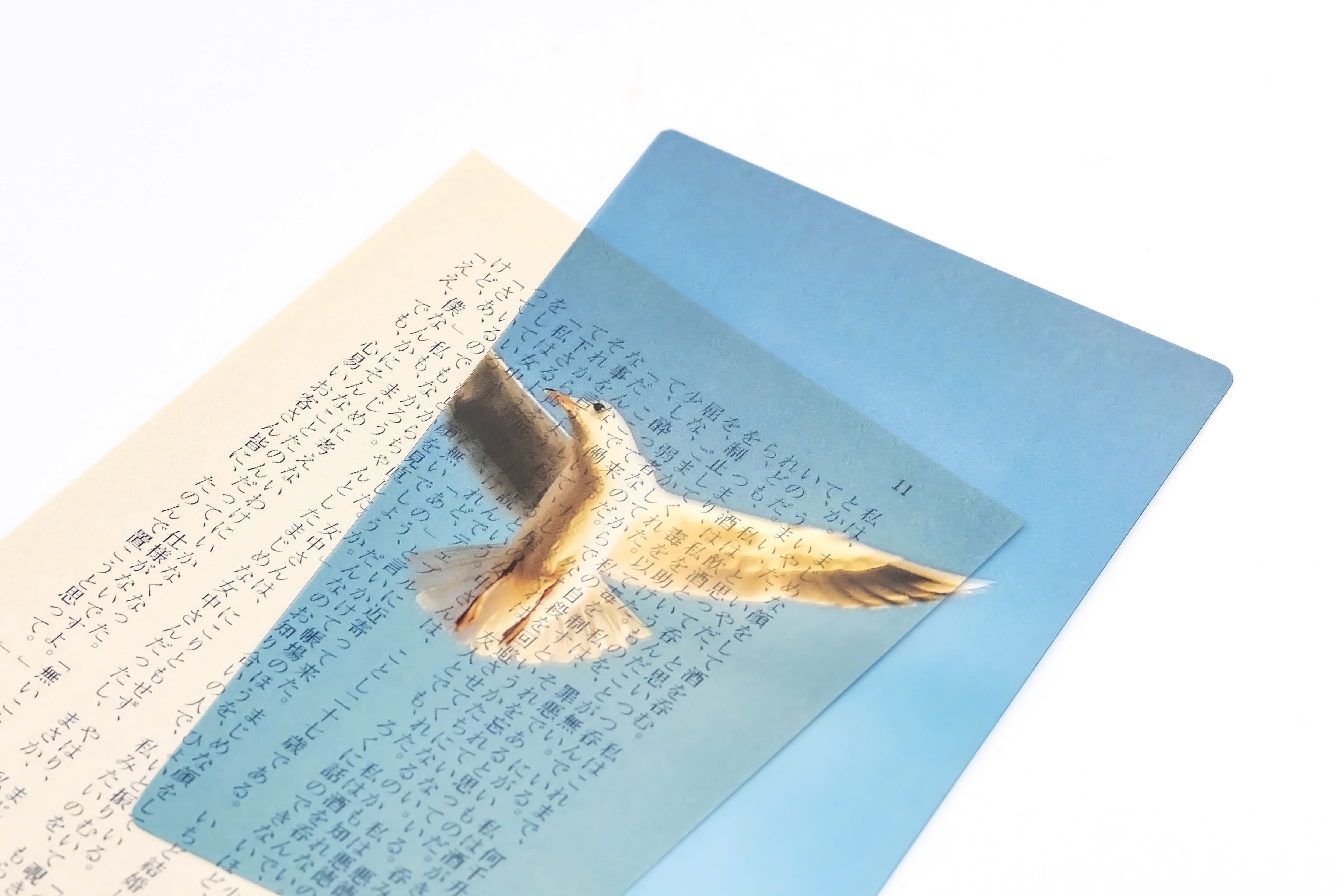 日本& focus.透明書籤/ A6/ 鳥│ 誠品線上