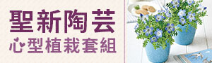 聖新陶芸⚘創意小植栽