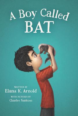 The Bat Series 1: A Boy Called Bat