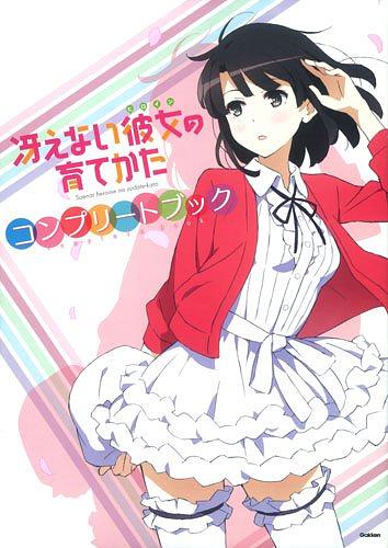 ストライク．ザ．ブラッド シリーズ ビジュアルコレクション 上 │ 誠