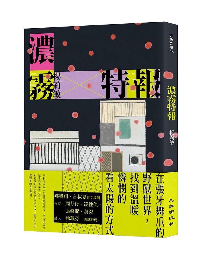 楊莉敏 濃霧特報