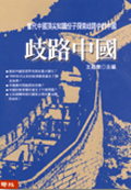 歧路中國