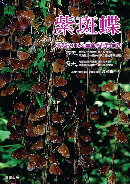 紫斑蝶